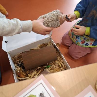 Herbstprojekt img 20251016 wa0012