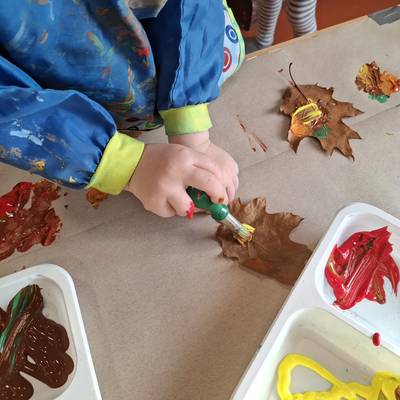 Herbst IMG 20251016 WA0014