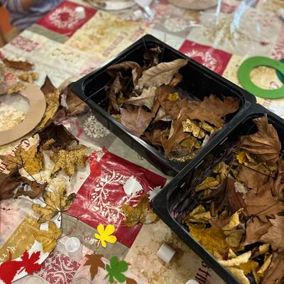 Herbst IMG 20251021 WA0042