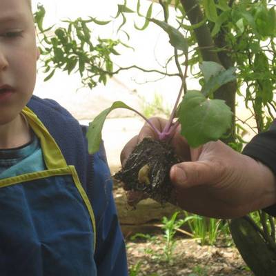 achtung schnecke