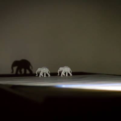 schattenspiele